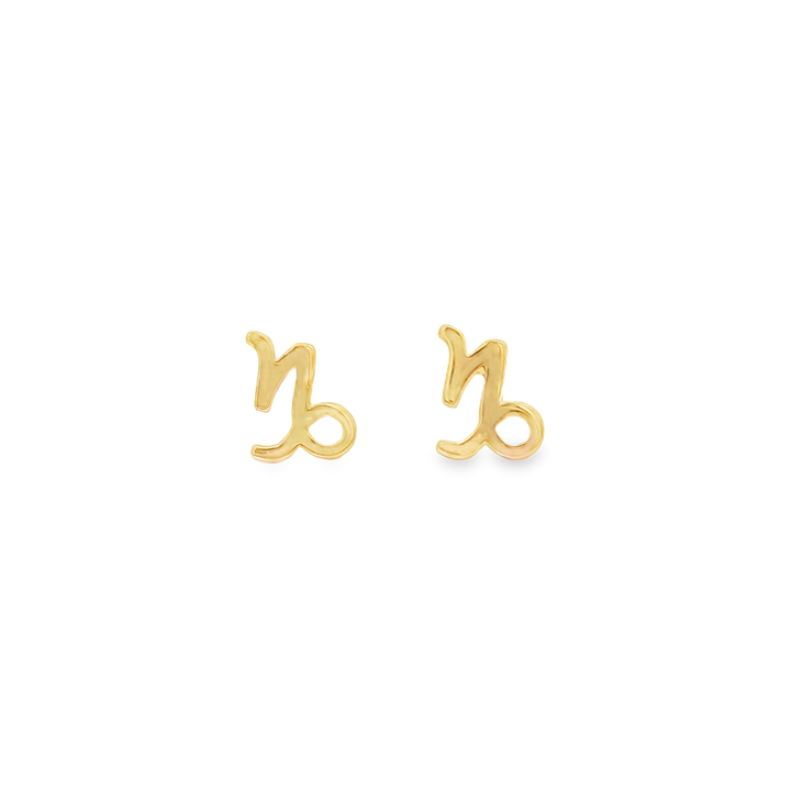 Capricorn Zodiac Stud Earrings