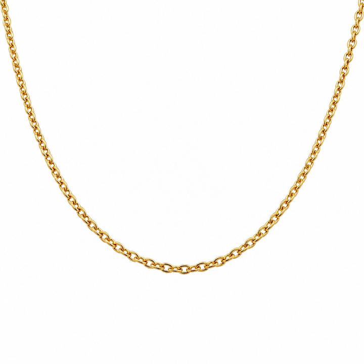Gold Vermeil Rolo Chain Necklace