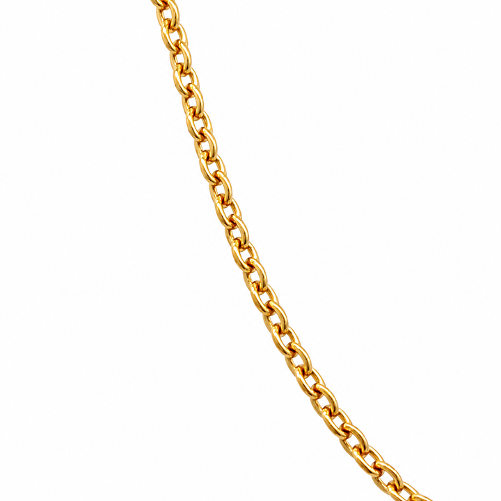 Gold Vermeil Rolo Chain Necklace